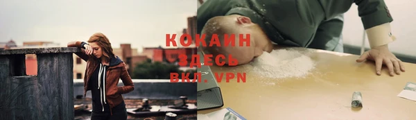 apvp Абаза
