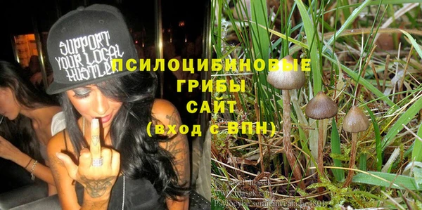 apvp Абаза