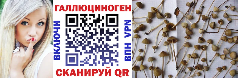 Псилоцибиновые грибы Magic Shrooms что такое наркотик Власиха